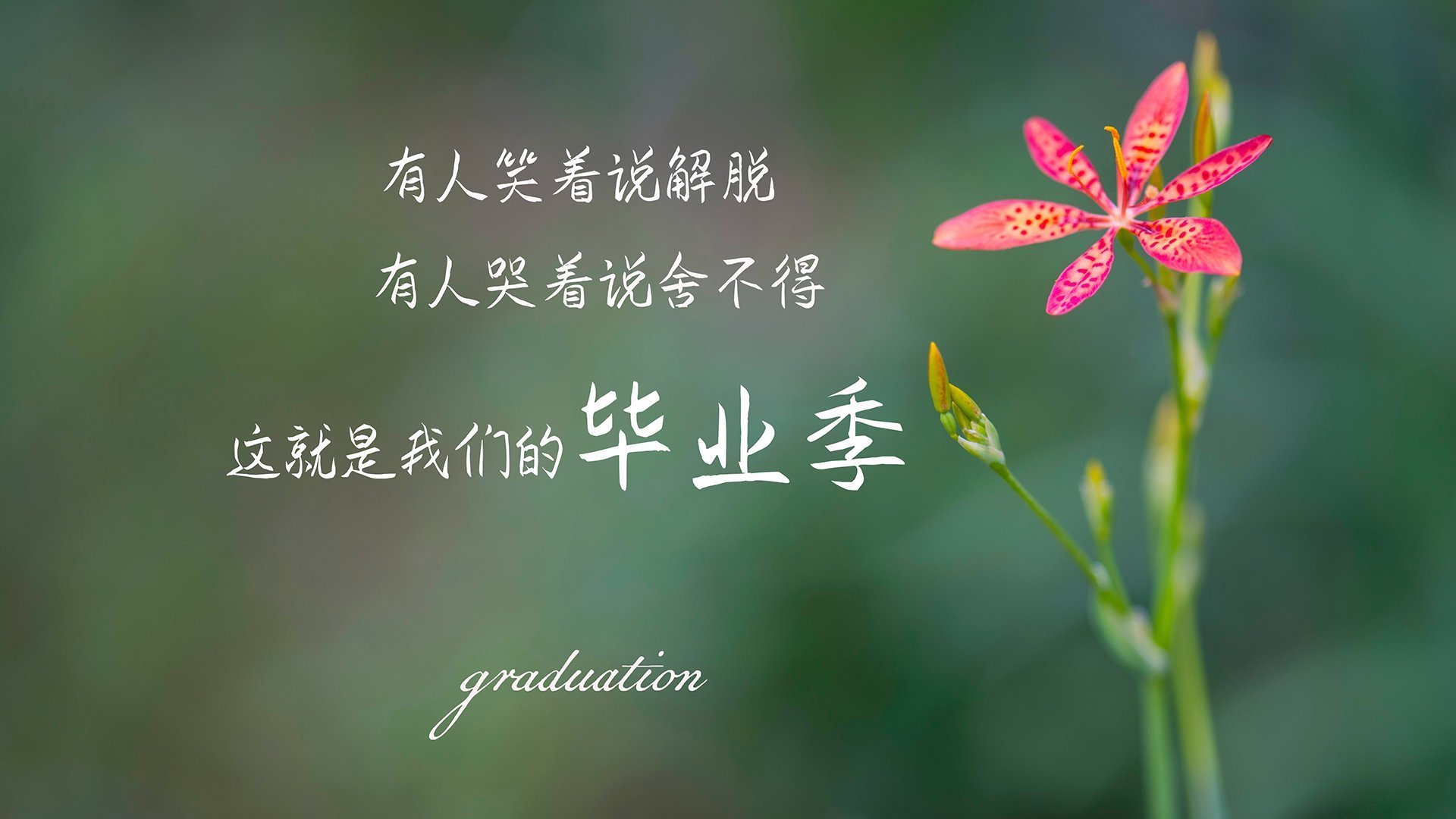kaiyun官方入口登录-绝地求生 战术创新引发关注，绝地求生战术交流话语