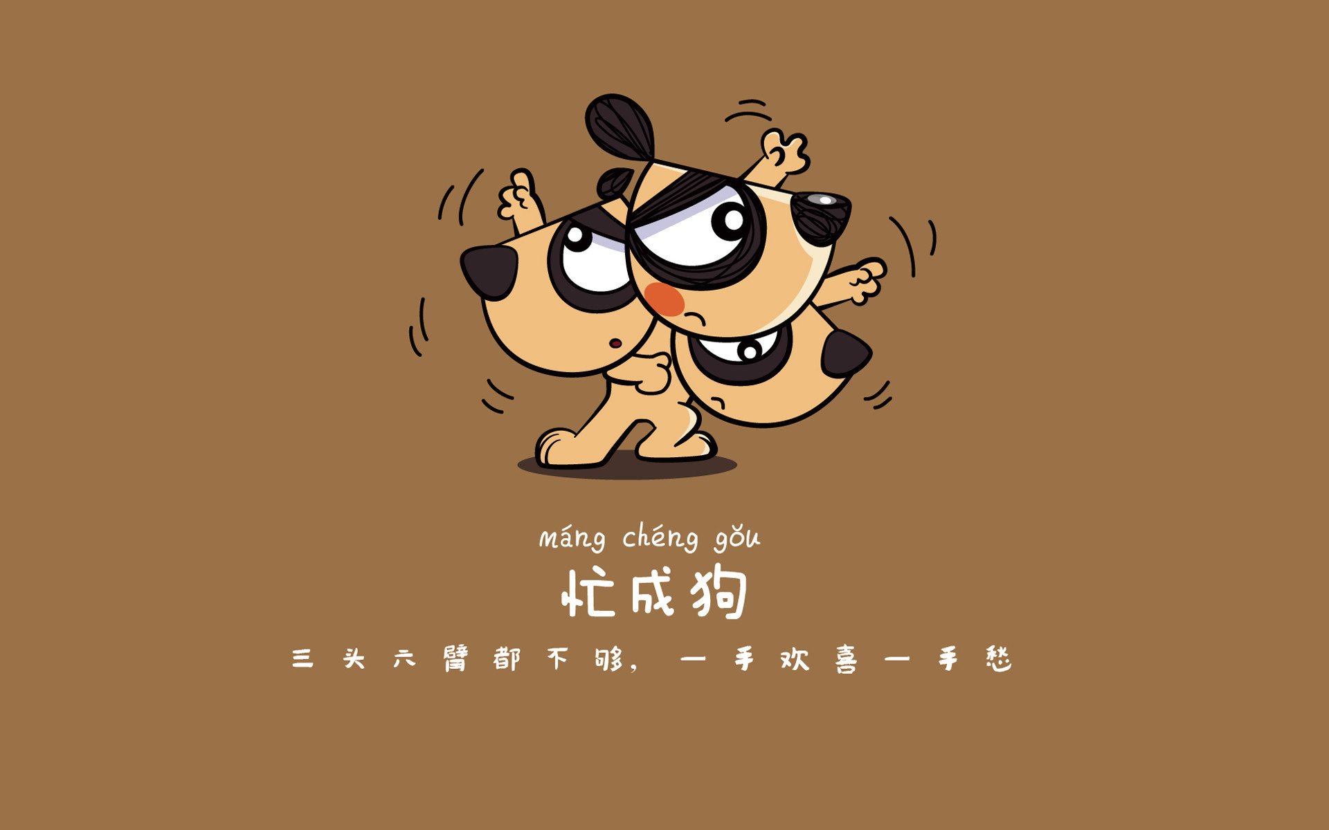 奥运积分赛中国体操队全项目入围，巴黎目标冲金，奥运会竞技体操中国队