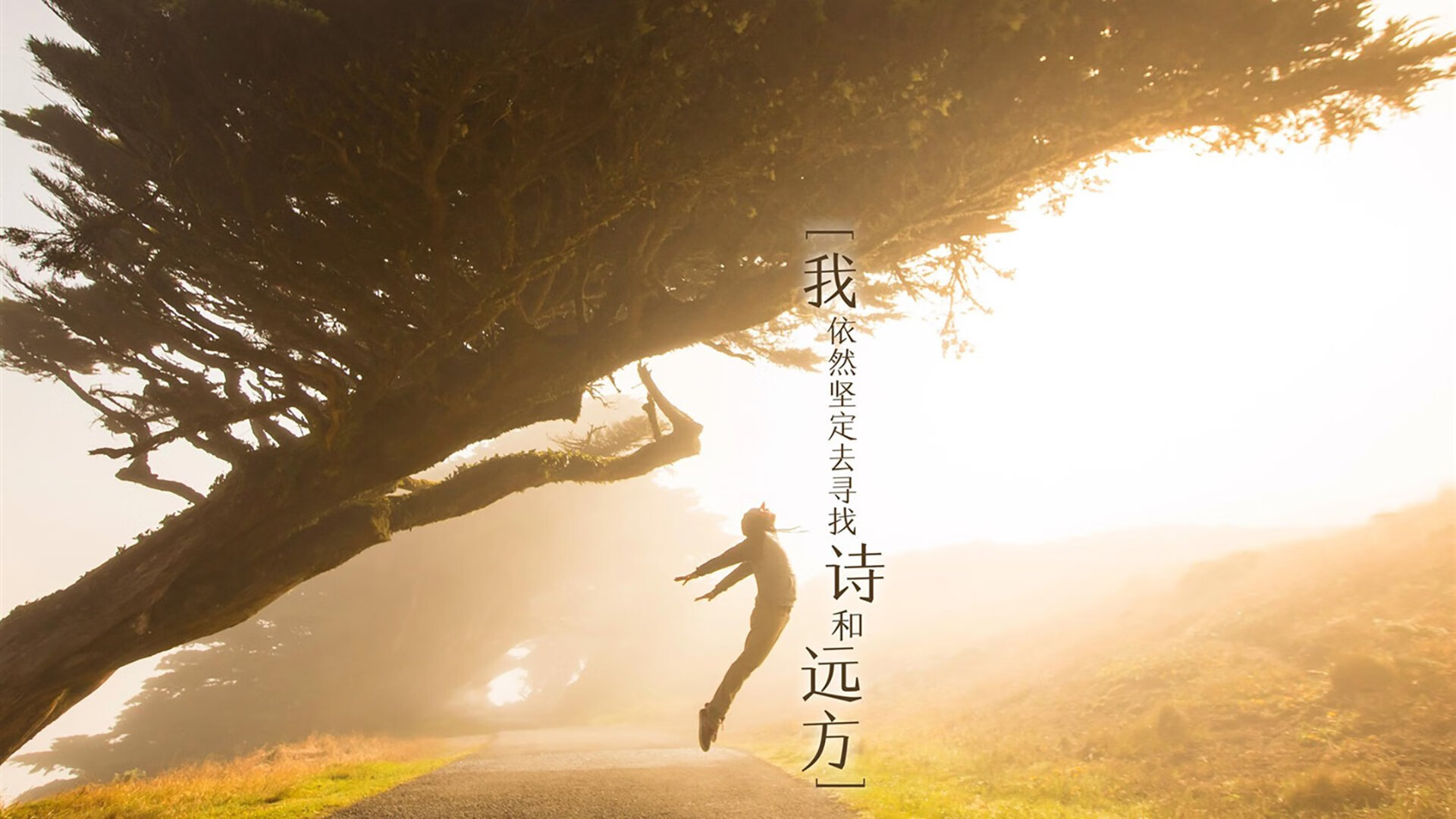 KAIYUNAPP-PSG未能突破切尔西防线遗憾落败，slp的切尔西