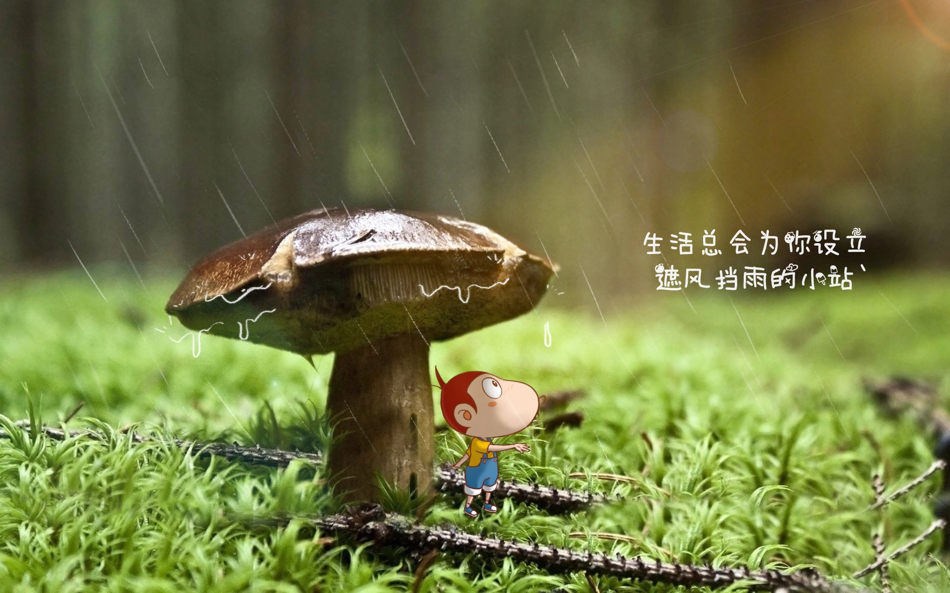 开云全站-印度乒乓队未来：增强国际交流与训练合作，拓宽发展路径，印度乒乓球厉害吗