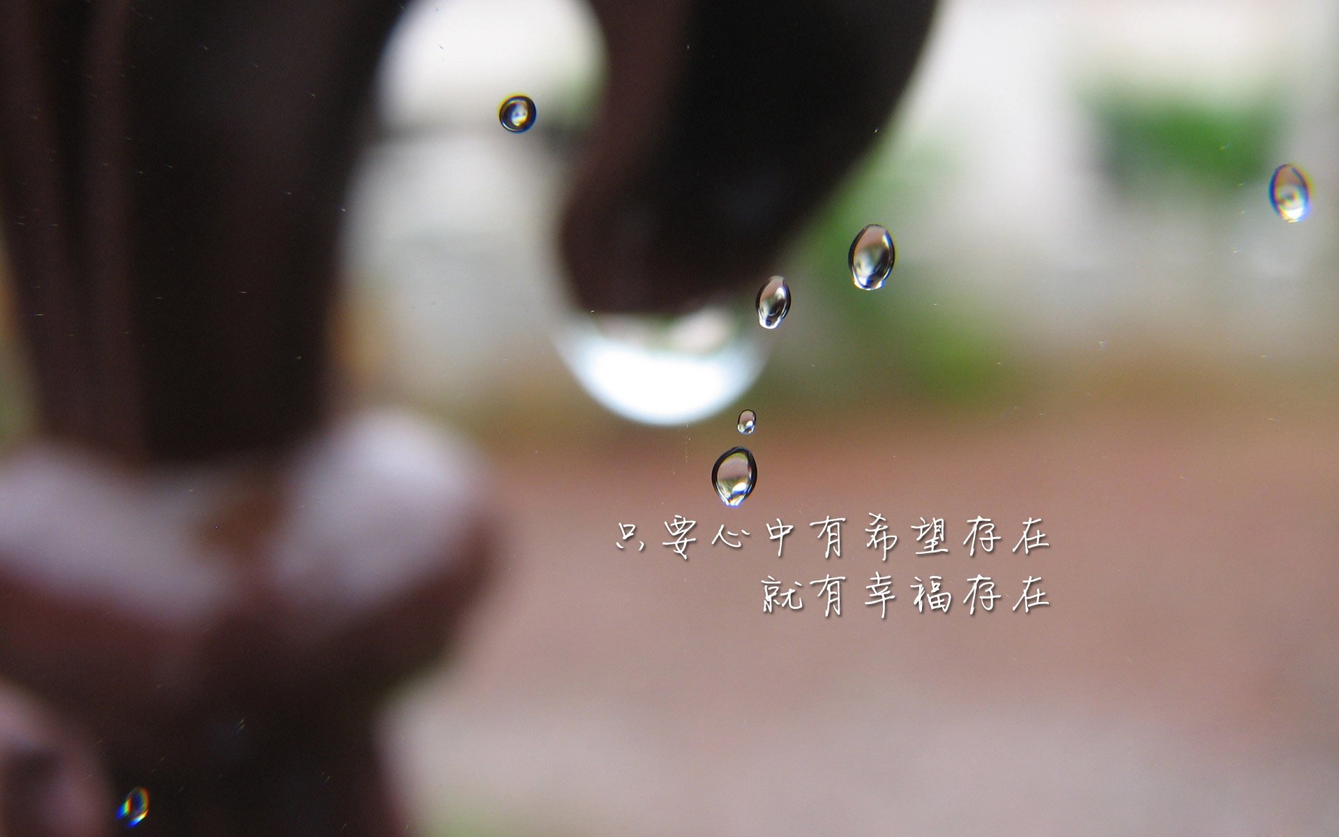 开云全站-法国新星崭露头角，未来无限可能