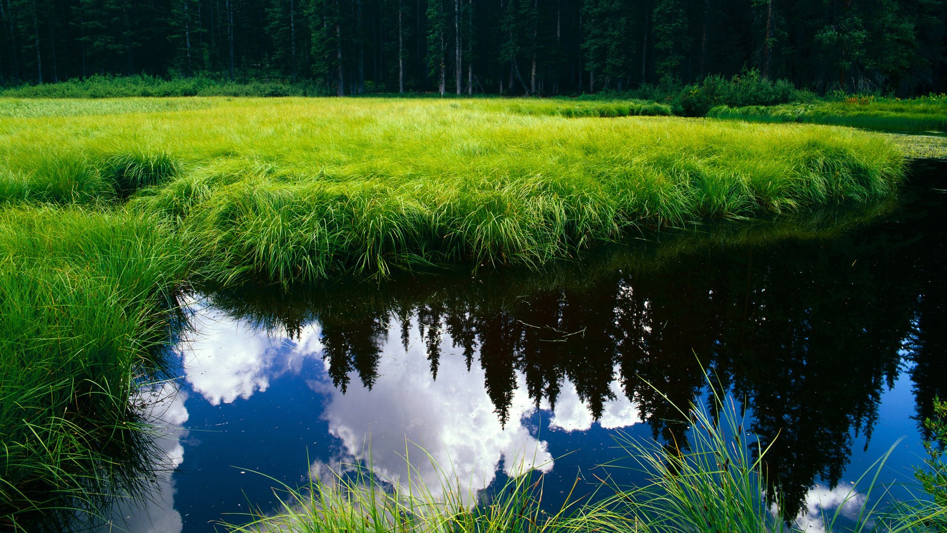 美洲杯豪门纷争：攻守转换的精彩瞬间