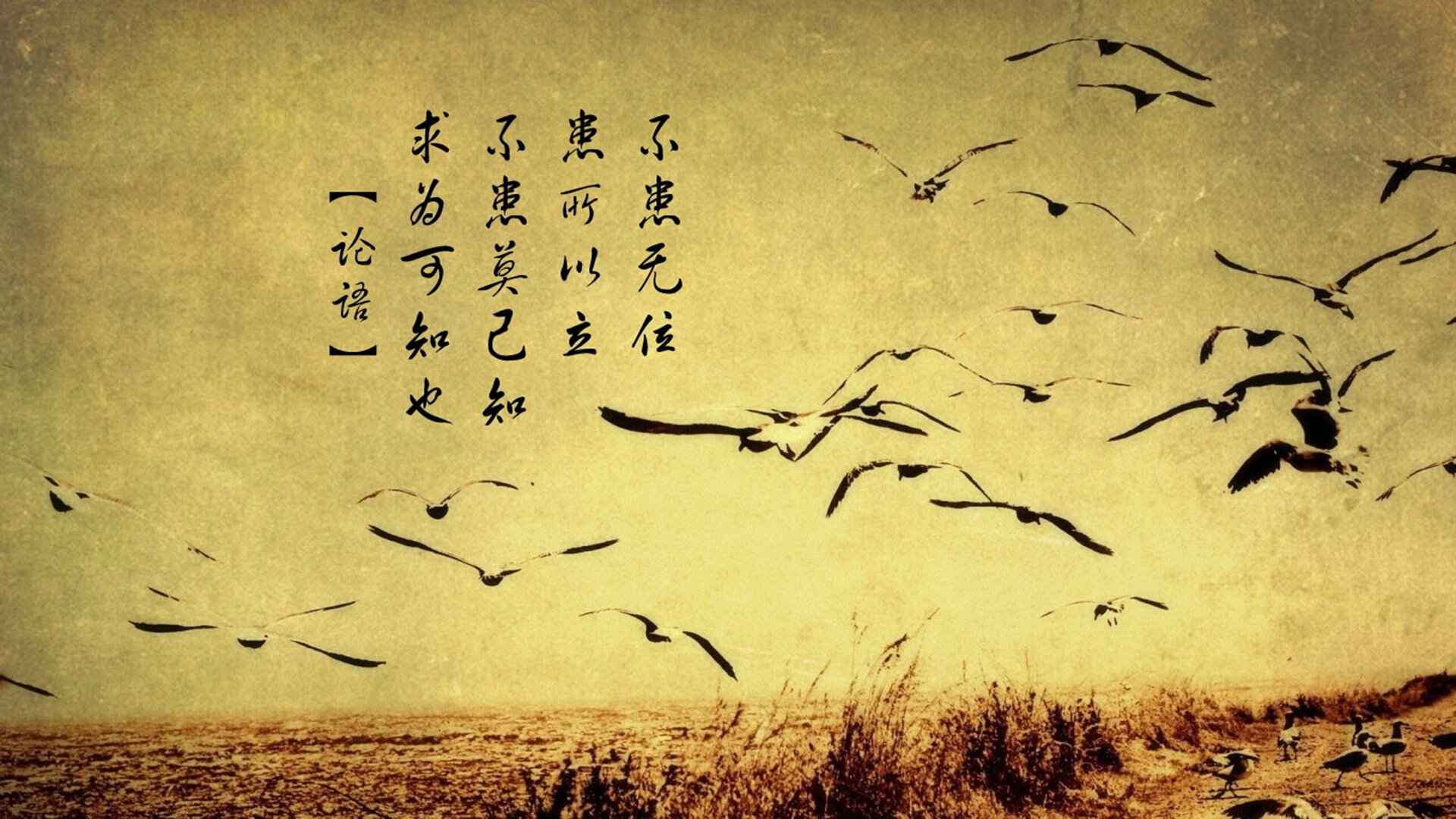 西班牙青年队在欧洲青年锦标赛中展现出色水平