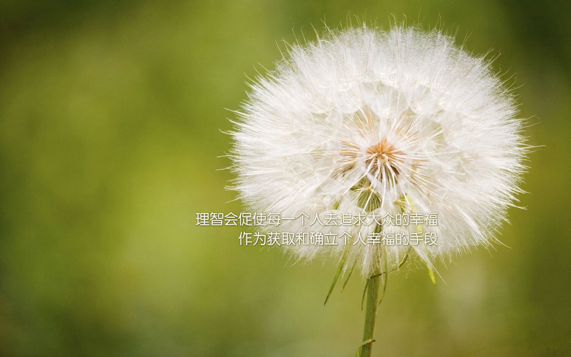 足球门将心理训练方案逐步落地，足球门将训练方法