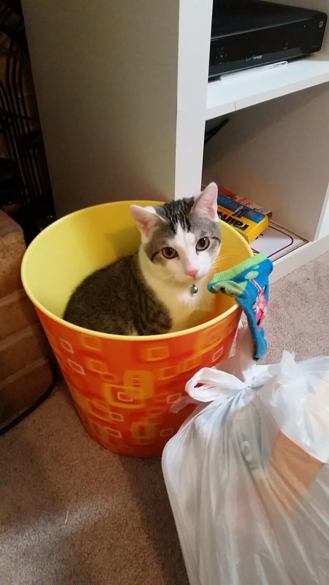 开云·体育全站登录地址-里根·史密斯技巧与速度兼备，里斯希尔史密斯