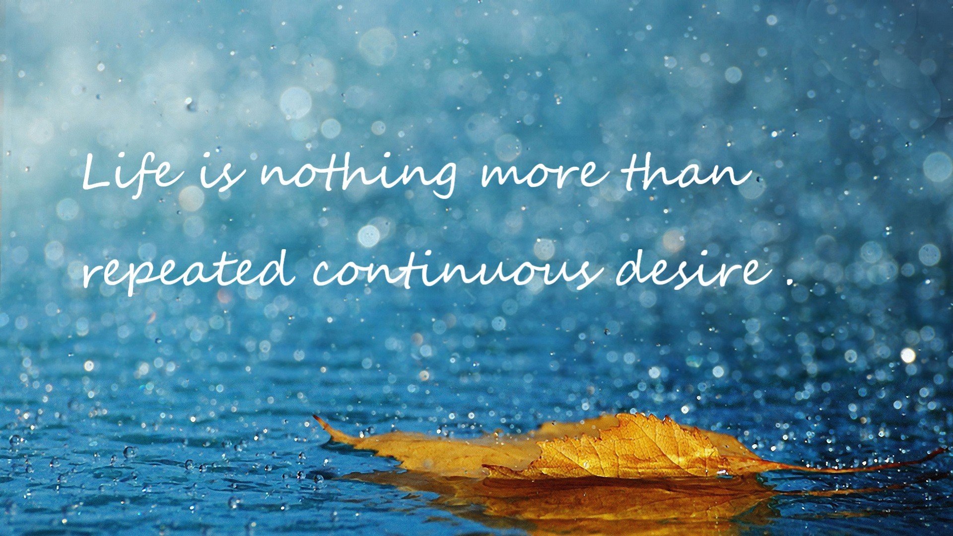 开云网页版-青训中心建立球员成长档案系统便于长期观察，青训队足球