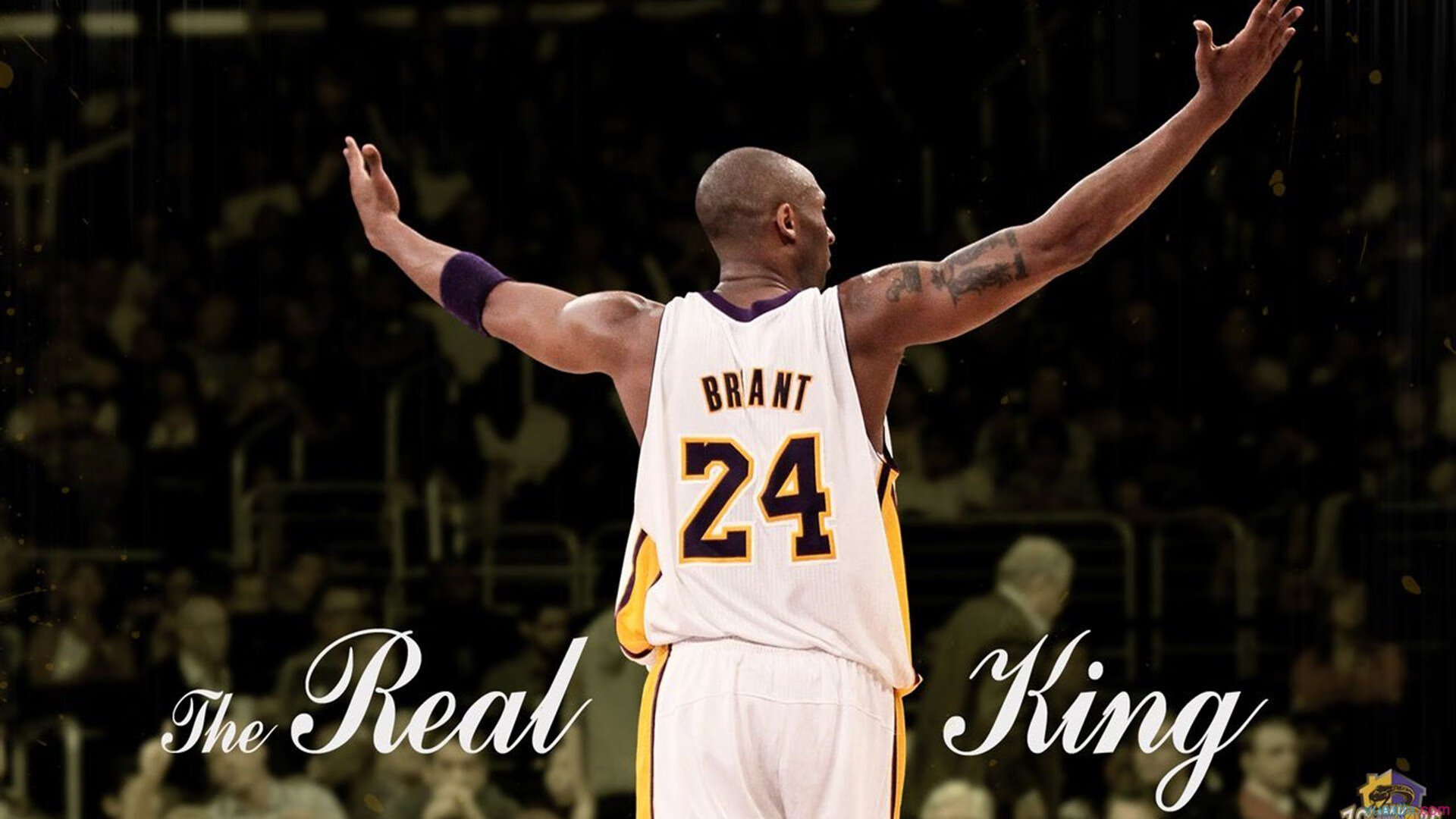 _彩色迷你跑：全民参与的趣味运动盛典_，彩色mini