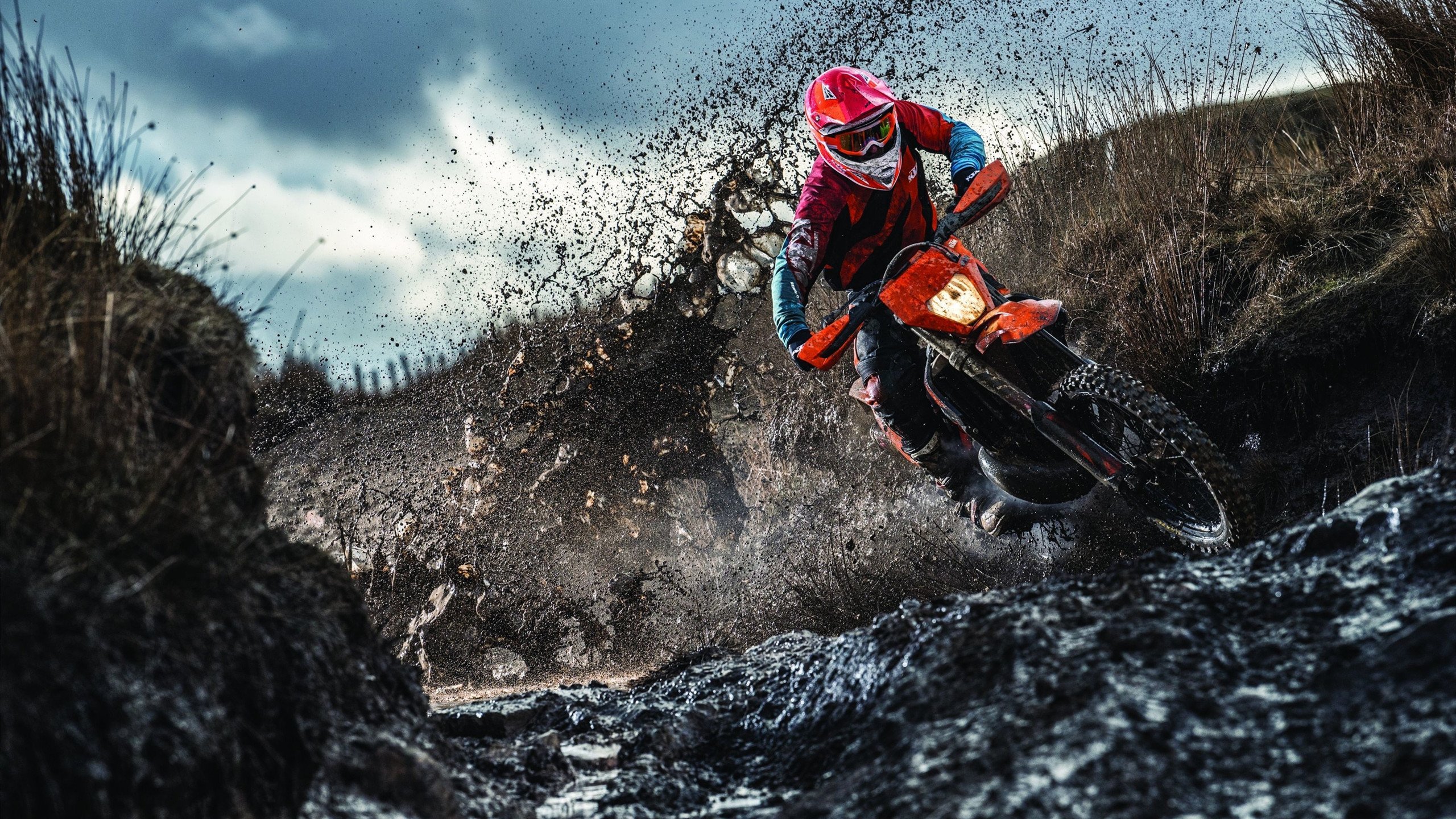 塞内加尔马术协会与亚洲马术协会建立合作关系，推动区域发展。